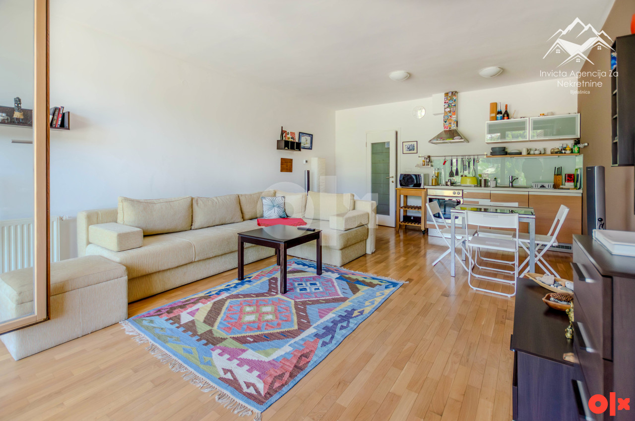 Bjelašnica Apartman 42 m2, pogled na ski staze, sunčana strana 19