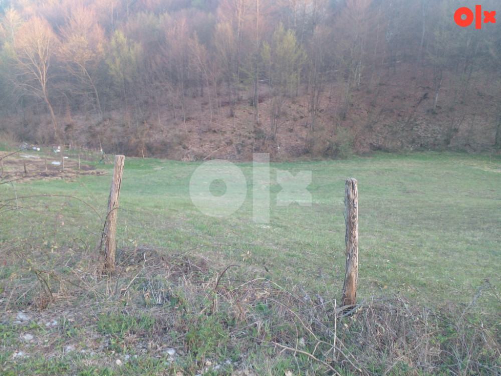 Placevi uz šumu dulum 7000 km Banja Luka 2