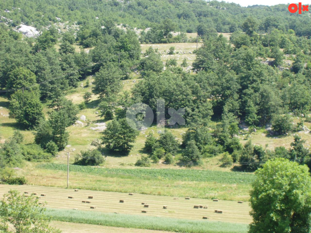 Zemljište 50 000 m2, Rogače, Nevesinje 2