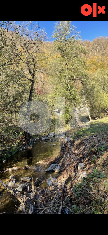 Zemljište uz rijeku Ljubina 3