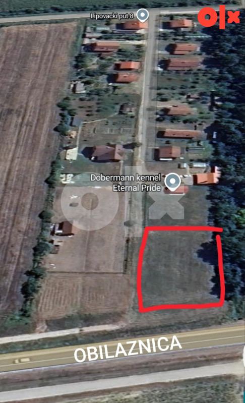 Zemljiste Brcko 2