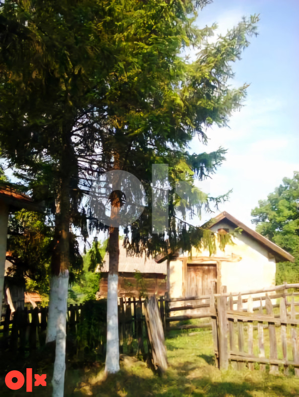 ! NA PRODAJU ! Kuća i 3.8 hektara zemljišta 5