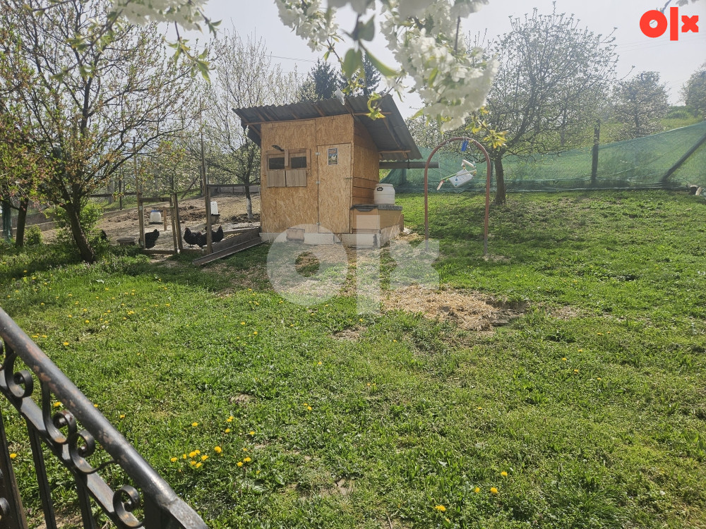 Kuća Maglaj 8
