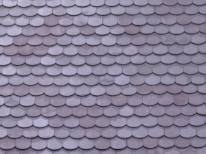 BIBER CRIJEP 4 palete složene po 1000 kom