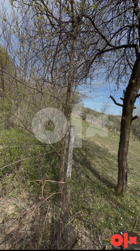 Na prodaju plac u Glamočanima 4