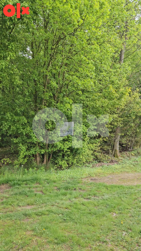 Zemljište Brčko 7.000m2
