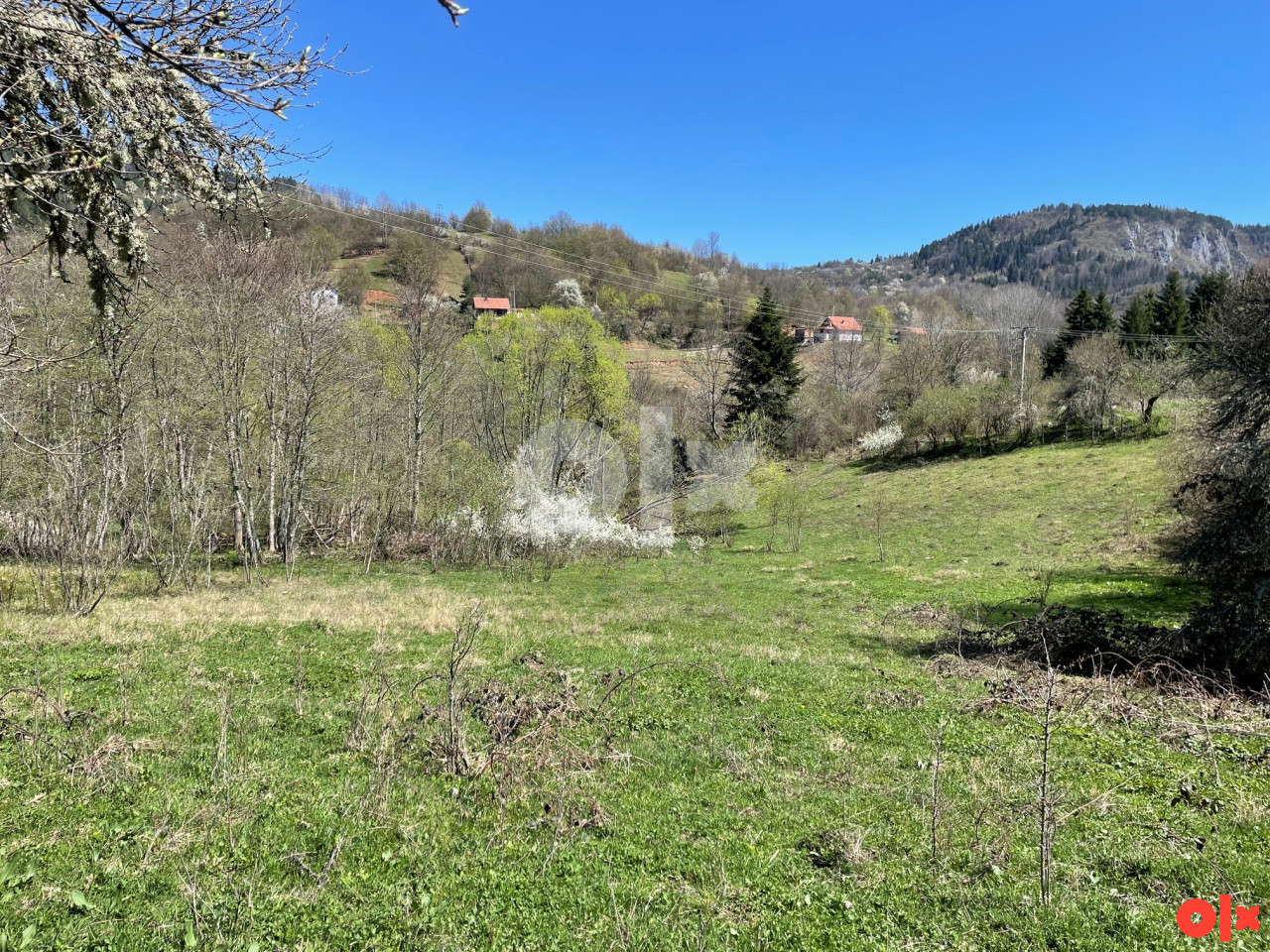 Zemljište Olovo  - Petrovići 2