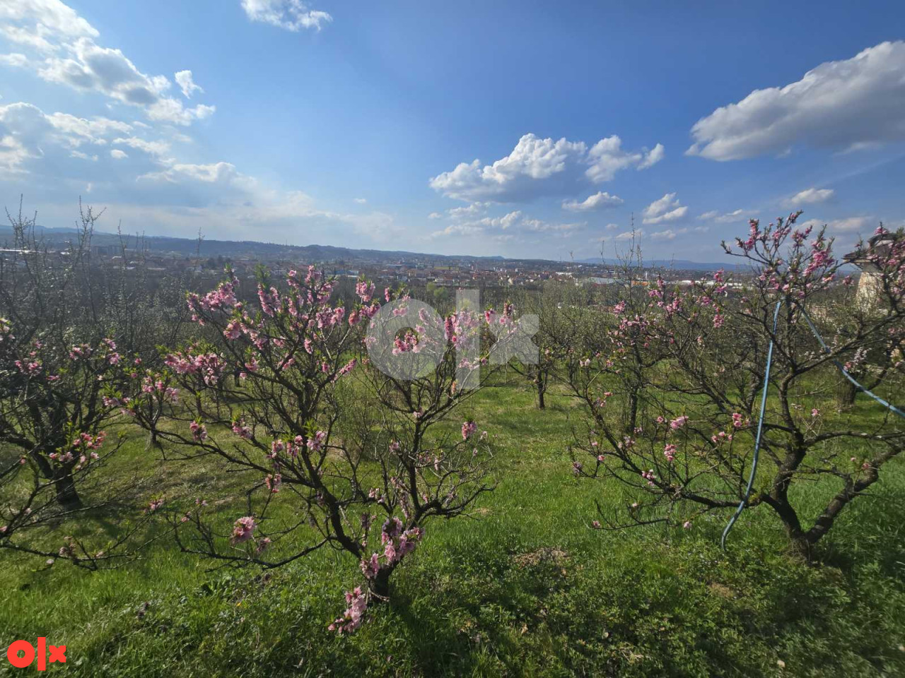 KUĆA I ZEMLJIŠTE U NASELJU TRAPISTI Banja Luka, 3849m2. 8