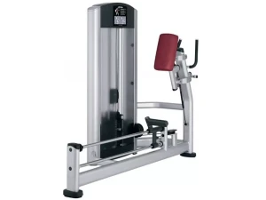 Lifefitness signature glute