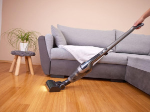 GORENJE stapni usisivac SVC252110FSIIA