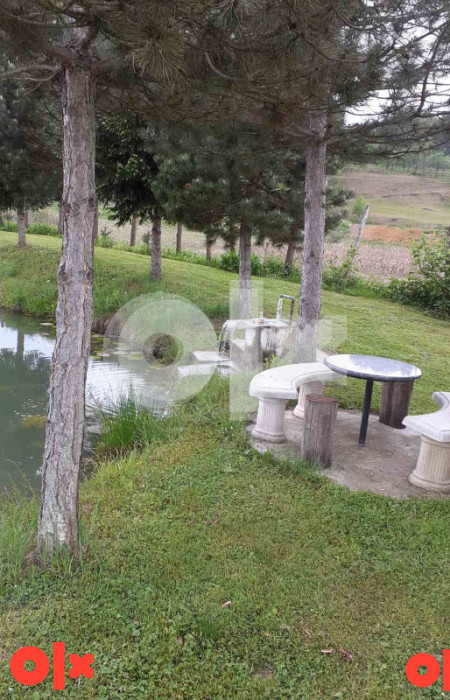 Kuća 230m2 i 4293m2 + dodatno zemljište i jezero 3