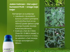 Sunward PLUS 440ml