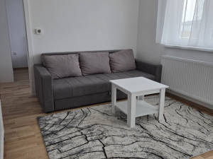 Najam - dvosoban stan 42m2 - ul. Vojvode Radomira Putnika