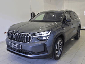 Škoda KODIAQ SELECTION 2.0 TDI 142kW 193KS DSG 4x4 APOLO