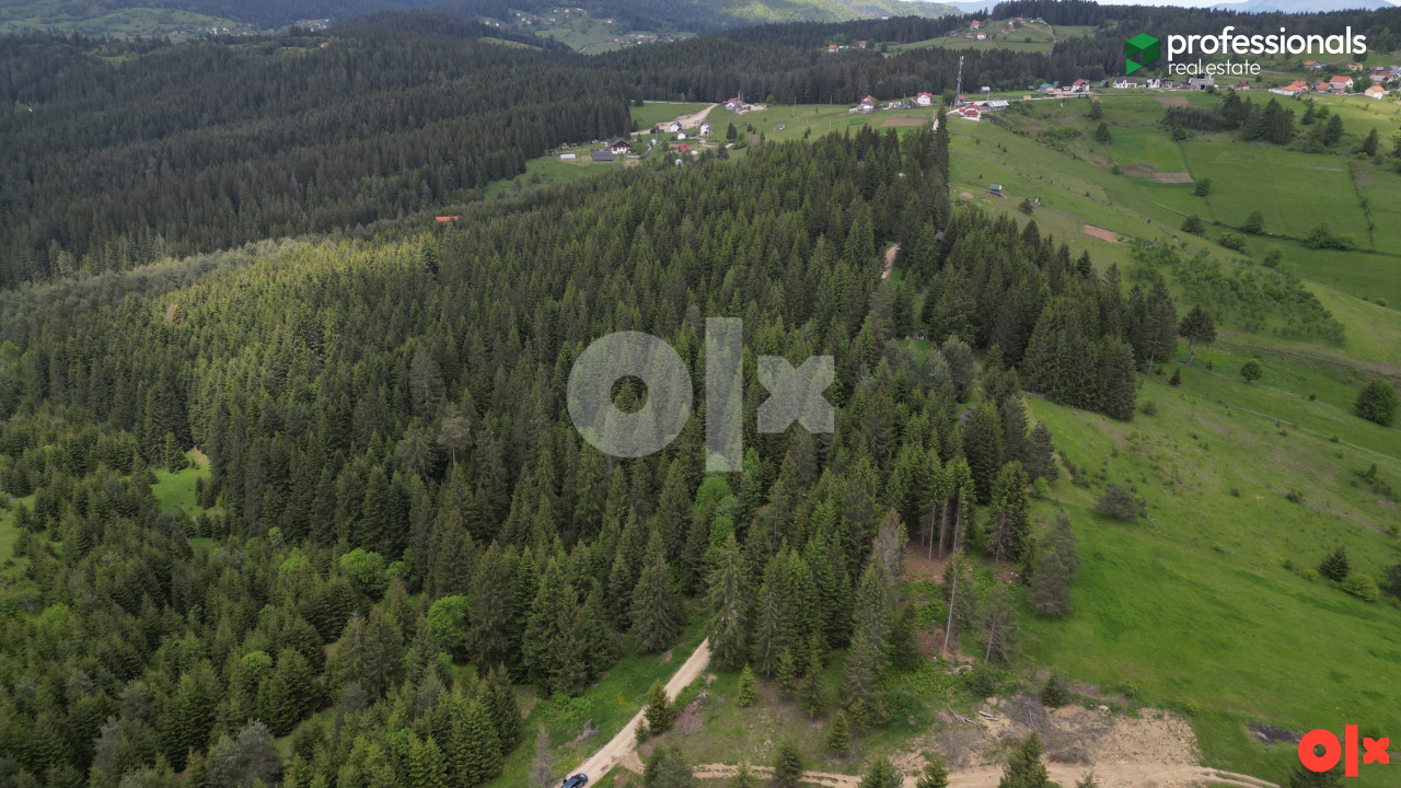 Zemljište Nišići 11903m2 2