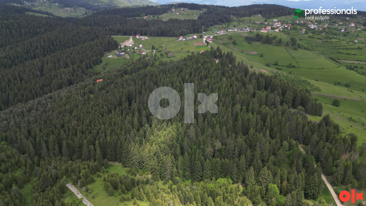 Zemljište Nišići 11903m2 3