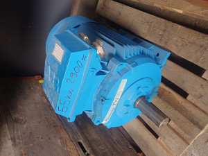 ELEKTRO MOTOR 55kW 2960obrt.
