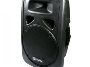 SP-1200 PA zvučna kutija 12 pasivna Skytec