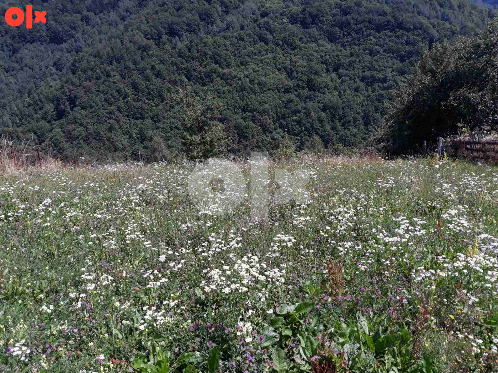 Zemljište Fojnica 2