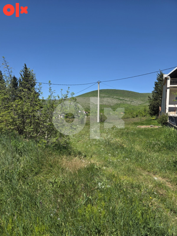 Parcela u Dobriču/ 3091m2 2