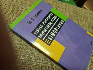 Visoko podignite krovnu gredu, tesari Simor, Selindžer