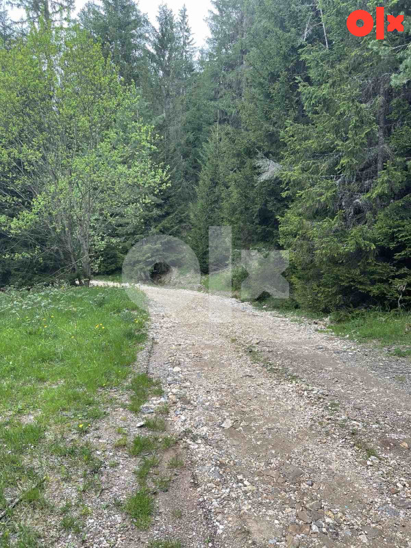 Kuca- PRODAJA- Nišići/Ravno 10