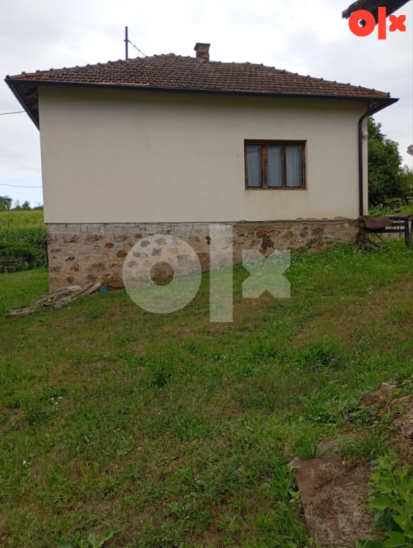 Kuća Radosavska 80m2 sa 8000m2 zemljista 3