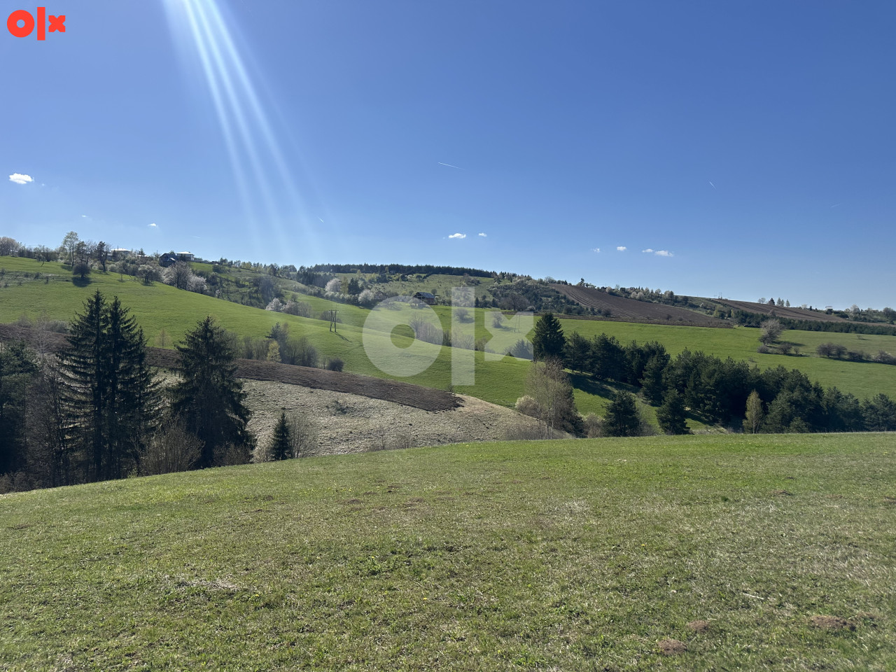 Zemljište nišići