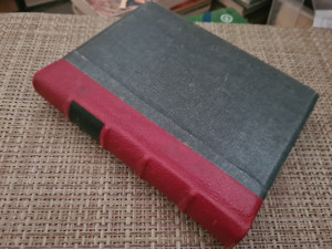 BELA RUŽA - B. Traven