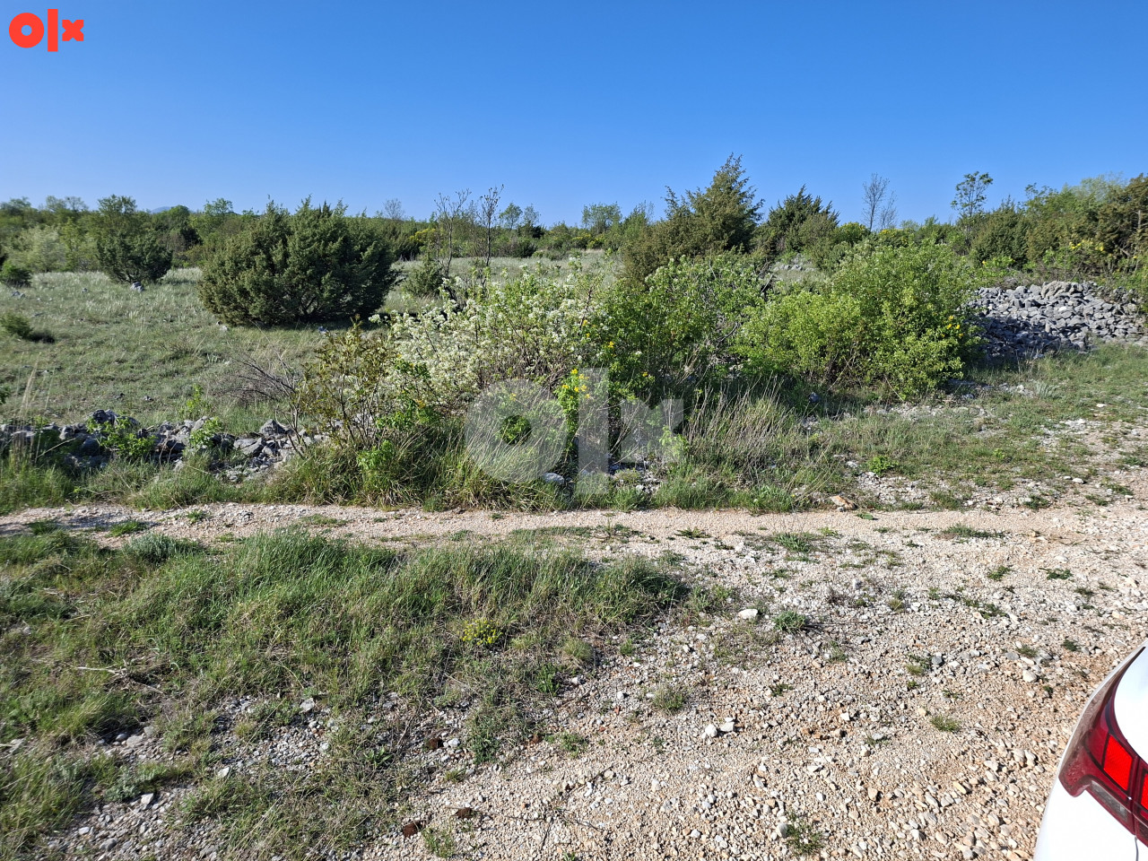 ALMENA/ Ljubinje/Žegulja, 429 duluma