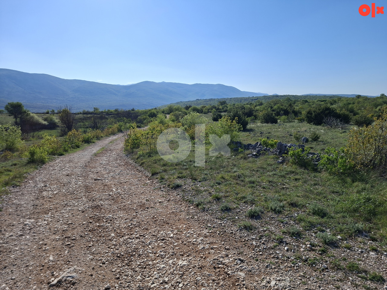 ALMENA/ Ljubinje/Žegulja, 429 duluma 3