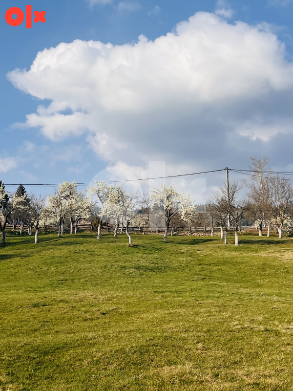 Zemljište Brezovice, Pale 24000 m² - Ansicht 5