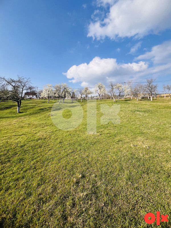 Zemljište Sumbulovac, Pale 24000m2 3