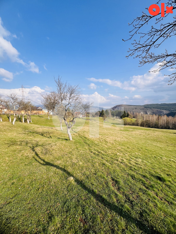 Zemljište Sumbulovac, Pale 24000m2 13