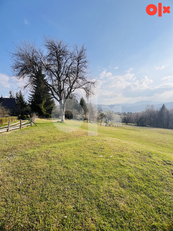 Zemljište Sumbulovac, Pale 24000m2 16