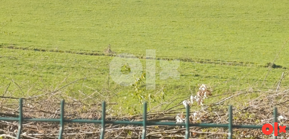 Zemljište Travnik TURBE 3000m2