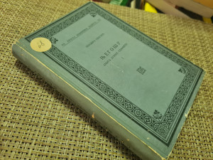 Njegošu knjiga duboke odanosti 1, Isidora Sekulić