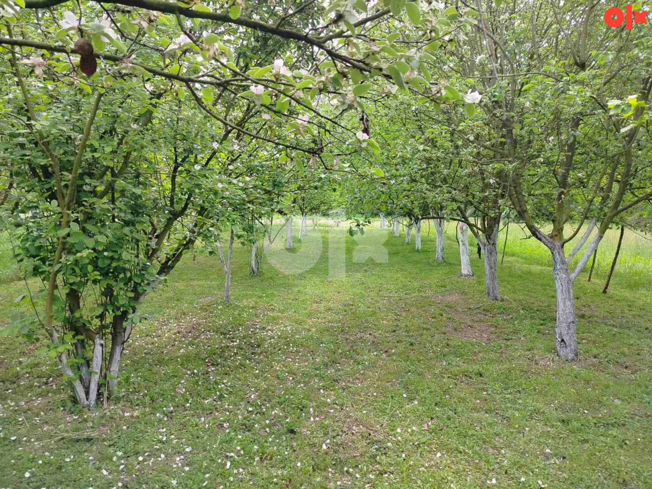 Kuća Bijeljina 60m2 3