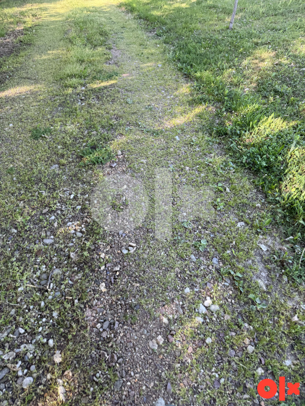 Zemljište , Banja Luka , Kadinjani 7000m2 3