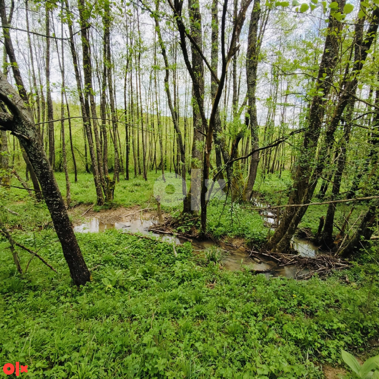 PARCELA DZENNET, VLAKOVO