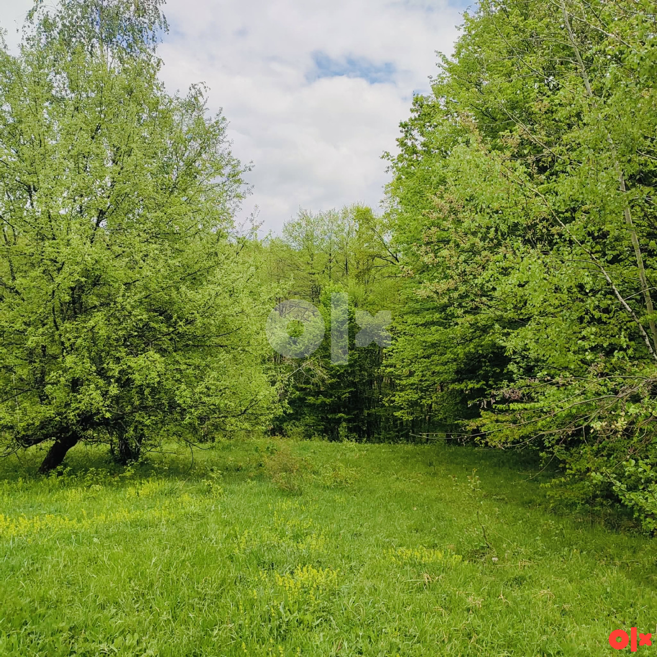 PARCELA DZENNET, VLAKOVO 2