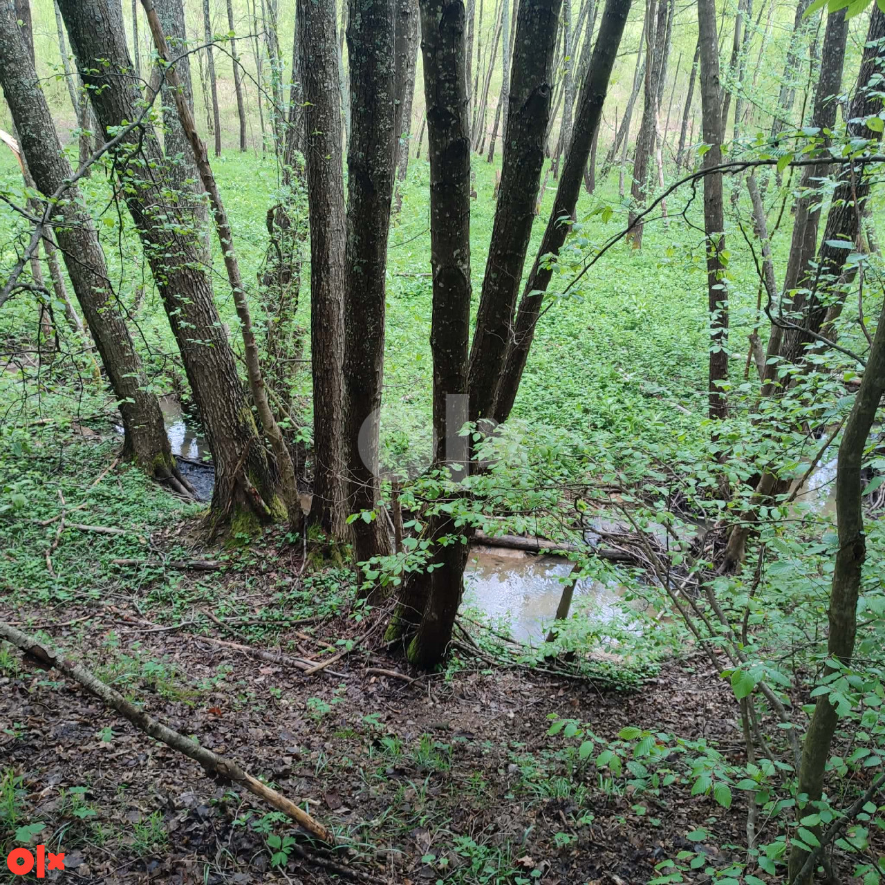 PARCELA DZENNET, VLAKOVO 3