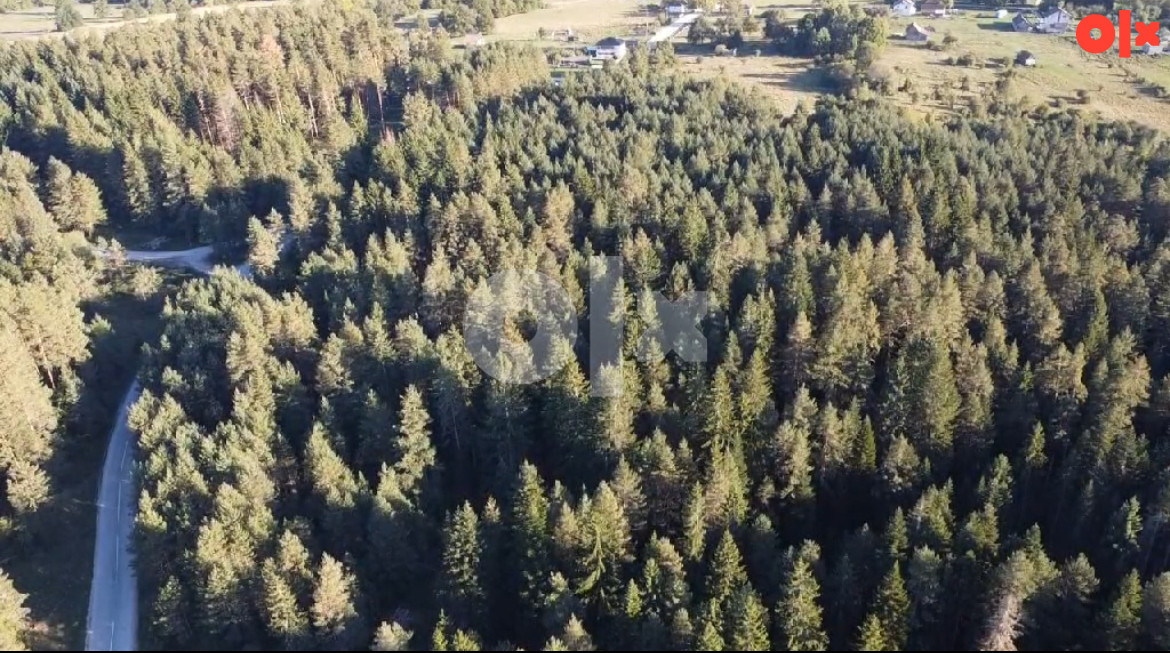 Zemljište Opština Sokolac 58000m2 4