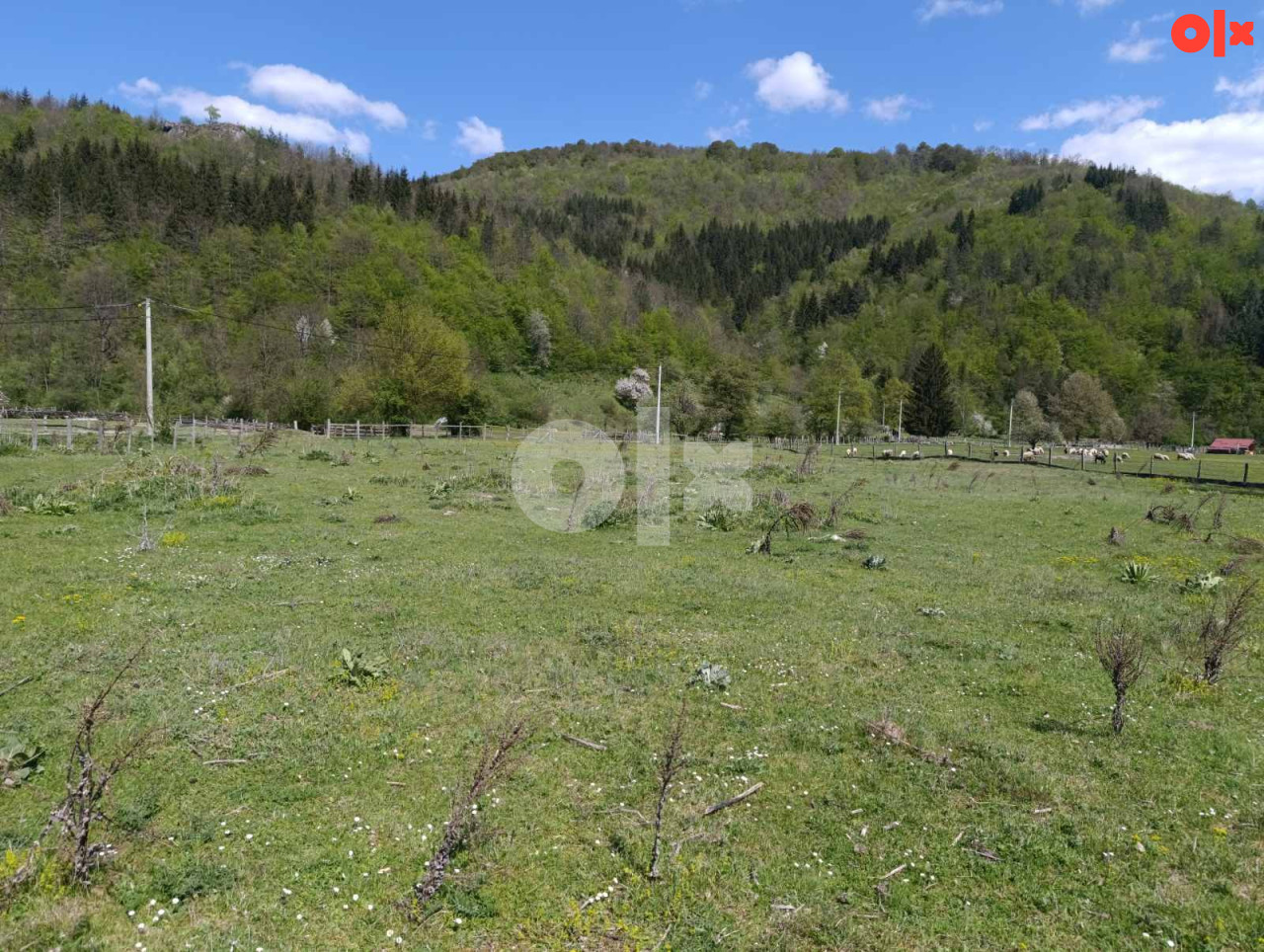 Zemljište Prača, FBiH 3268m2 6
