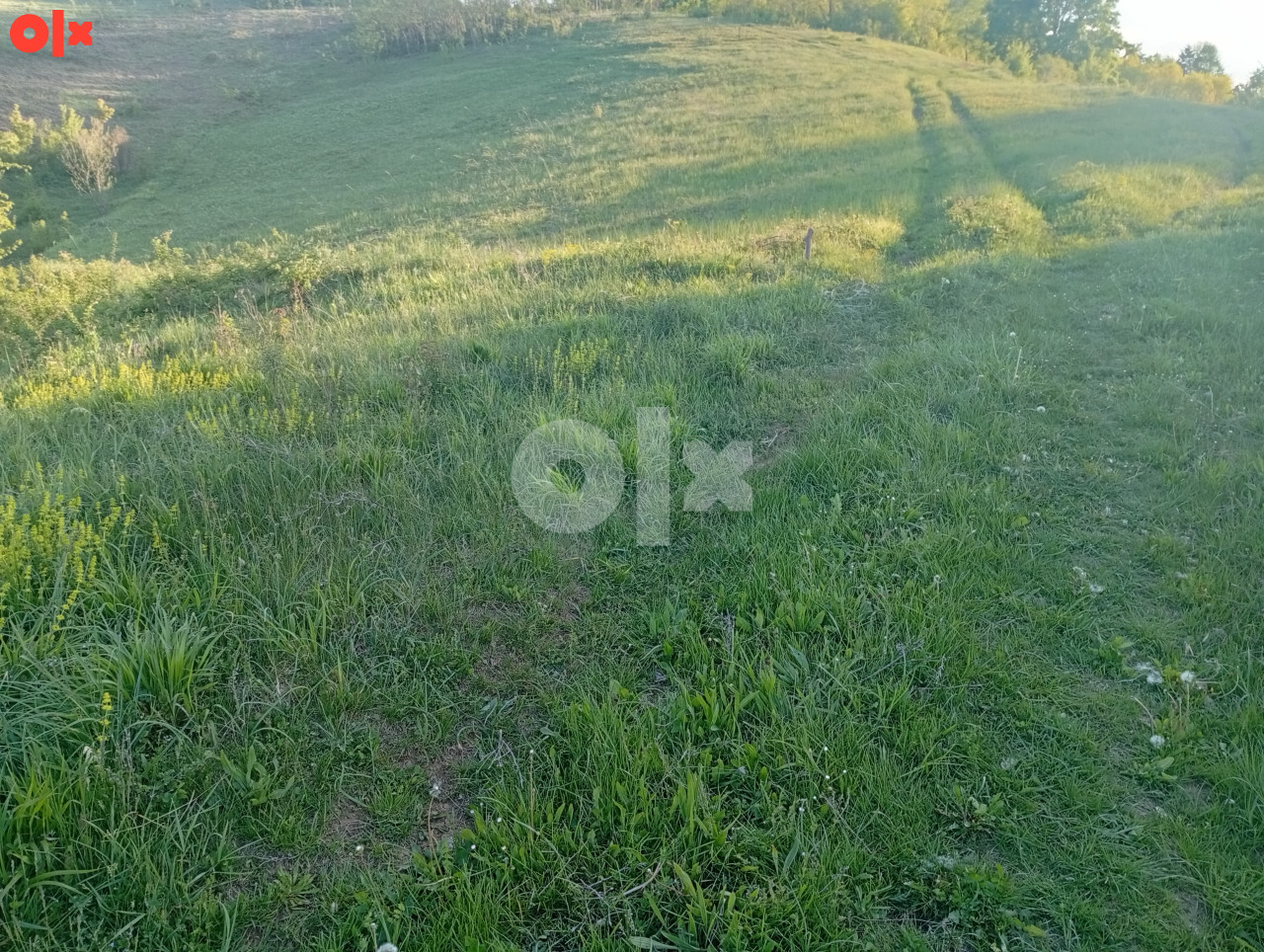 Zemljište Banja Luka 22000m2