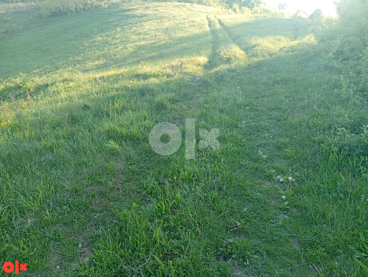 Zemljište Banja Luka 22000m2 2