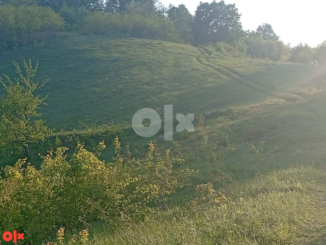 Zemljište Banja Luka 22000m2 3