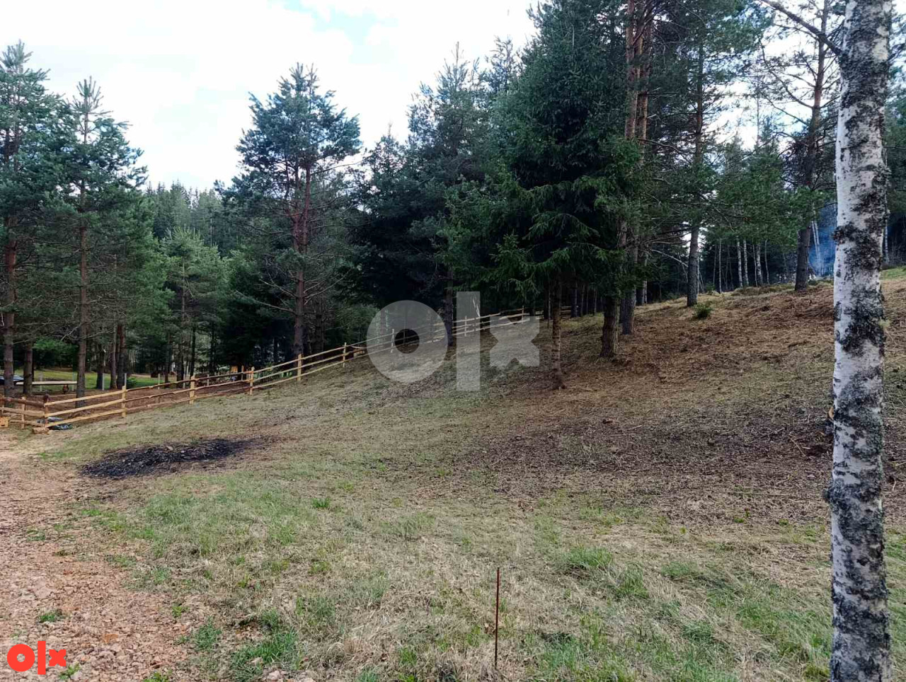 Zemljište Nišići 1070 m2 5