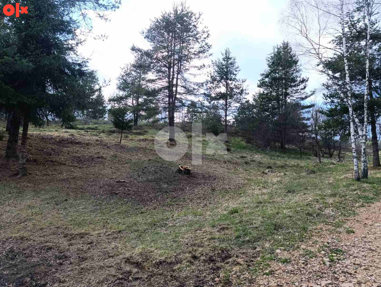 Zemljište Nišići 1070 m2 6