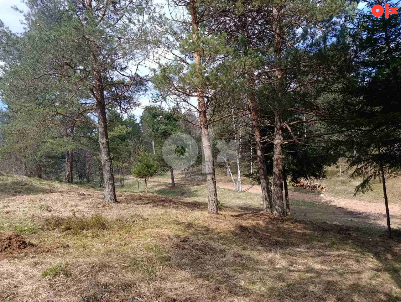 Zemljište Nišići 1070 m2 7